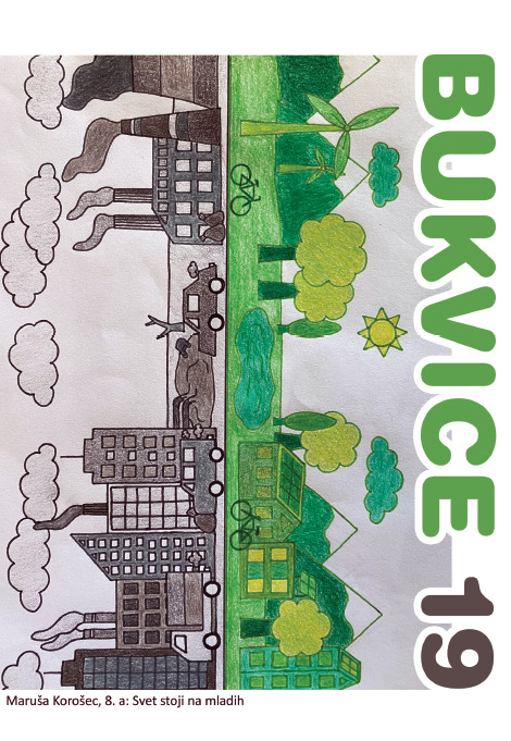 Bukvice19