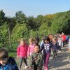 img_4967