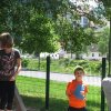 img_6642