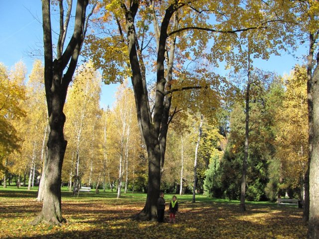 img_3956