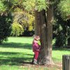 img_3944