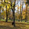 img_3946