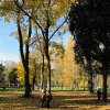 img_3948