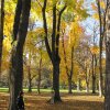 img_3950