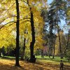 img_3952