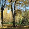 img_3956