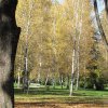 img_3958