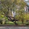 img_3963