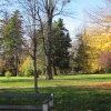img_3964