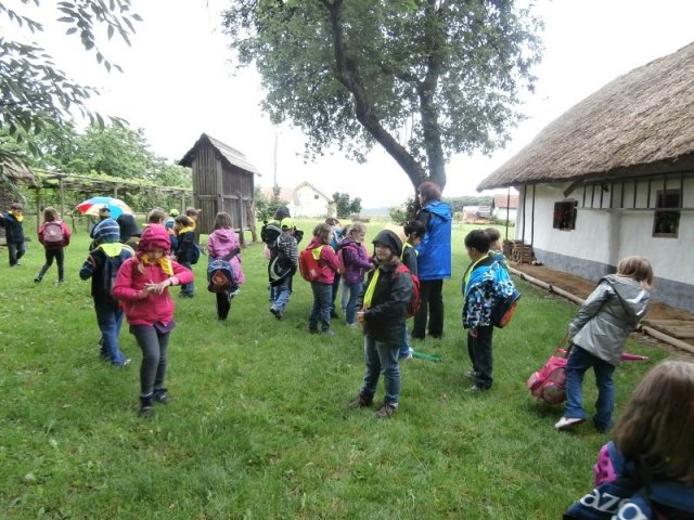 p6040120
