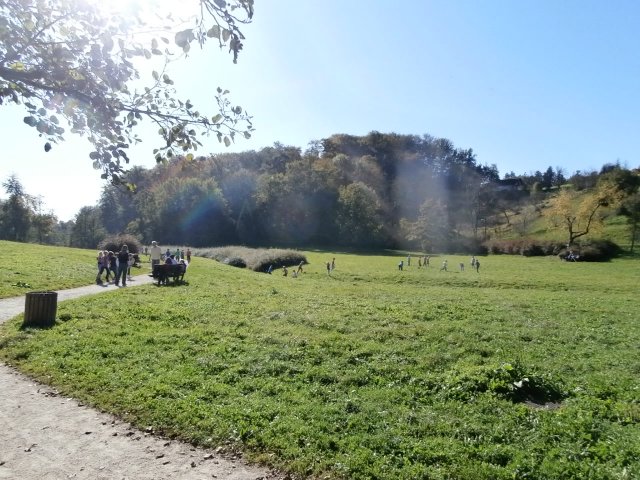 pa100041