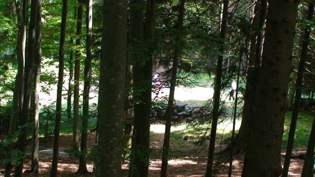 dsc02332
