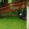 dsc02331