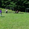 dsc02339