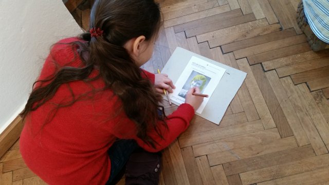 20150212_100315
