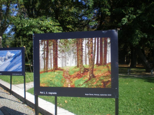 p1010003
