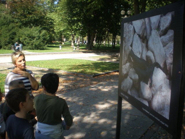 p1010012