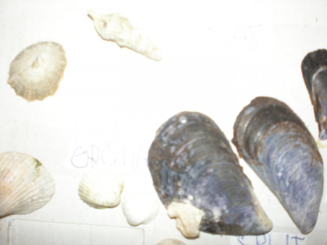 p9260611