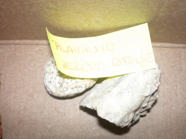 p9260761
