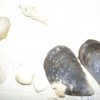 p9260611