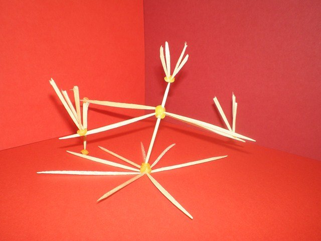 p1010255