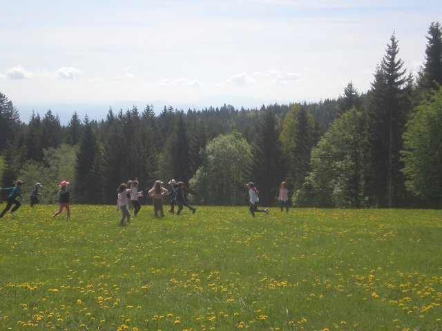 p5210310