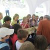 img_6644