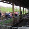 img_6548