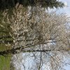 img_6574