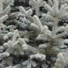 img_6577