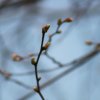 img_6608