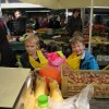 img_7072