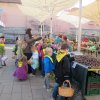 img_7084
