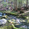 2012-06-15_16-42-41_hdr