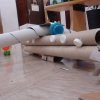 dsc00020