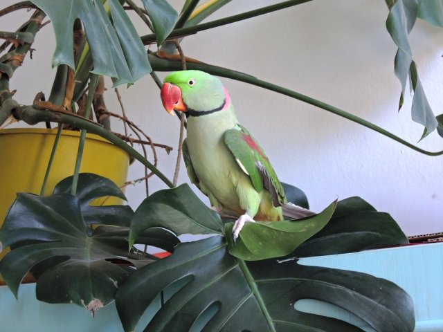 dscn8122