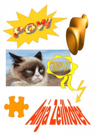 grumpy_cat_risbica