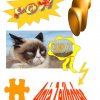 grumpy_cat_risbica