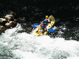 Osilnica 2008 - P5276069.JPG