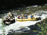 Osilnica 2008 - P5276072.JPG