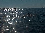Porec - sreda - HPIM7133.jpg