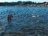 Porec - sreda - HPIM7135.jpg