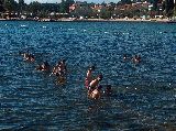 Porec - sreda - HPIM7136.jpg