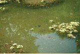 Strokovna ekskurzija Zagreb 2009 - 3.del - Slika 236.jpg