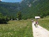 Taborjenje Bohinj 2009 - P6189416.JPG
